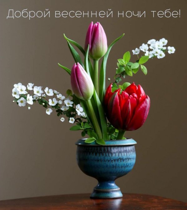 доброе весеннее утро