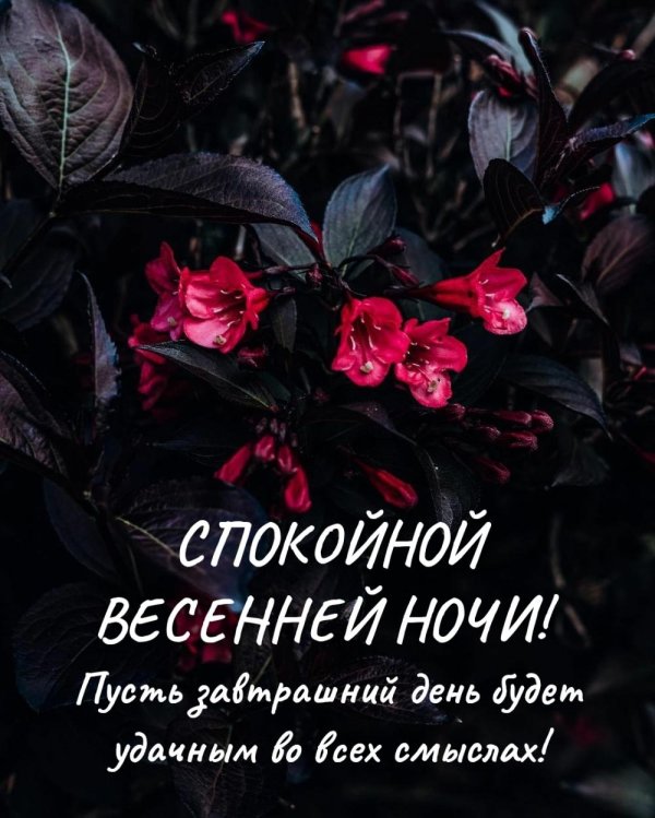 спокойной мартовской ночи