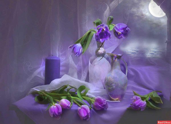 луиза гельтс