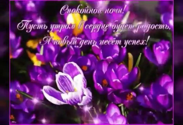 с добрым вечером и спокойной ночи