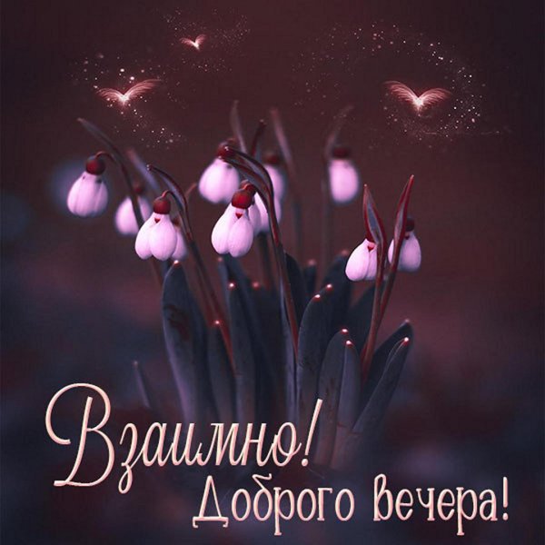 мирного весеннего вечера