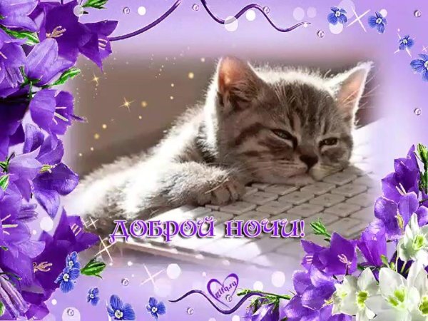 открытка спокойного ночи