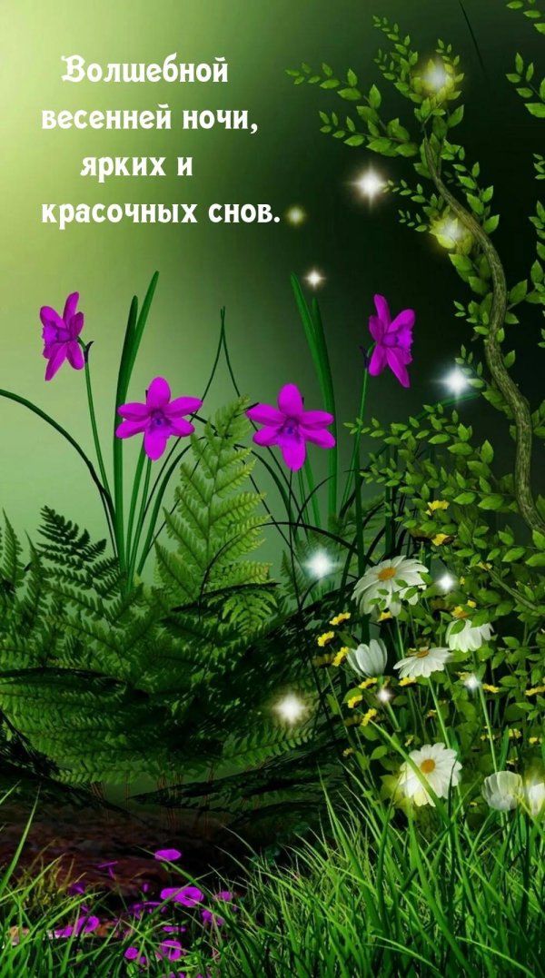 весенней ночи