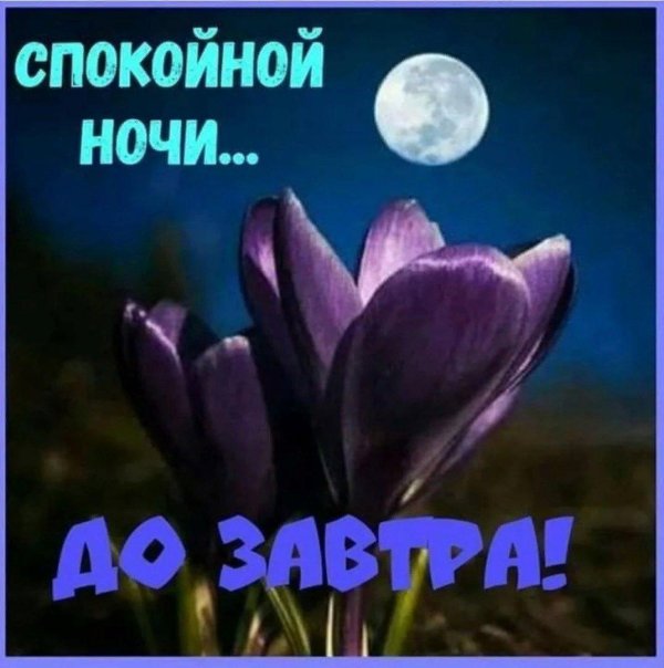 спокойная ночи