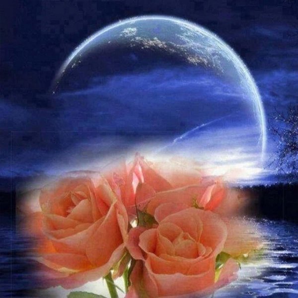 доброй ночи красивые необычные нежные