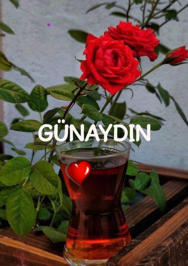 открытки gunaydin