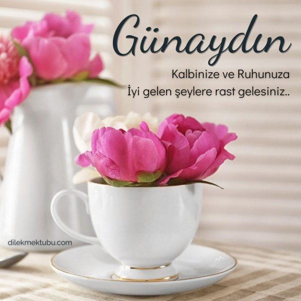 sabahiniz xeyir olsun