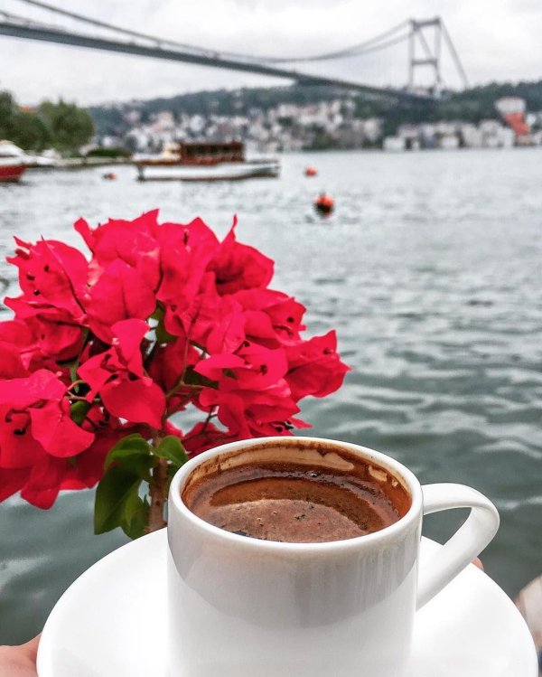 стамбул гюнайдын