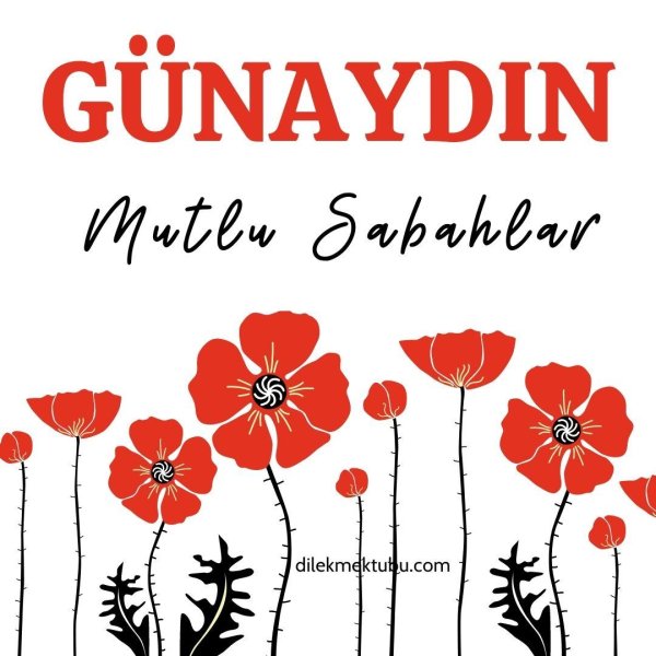 mutlu sabahlar