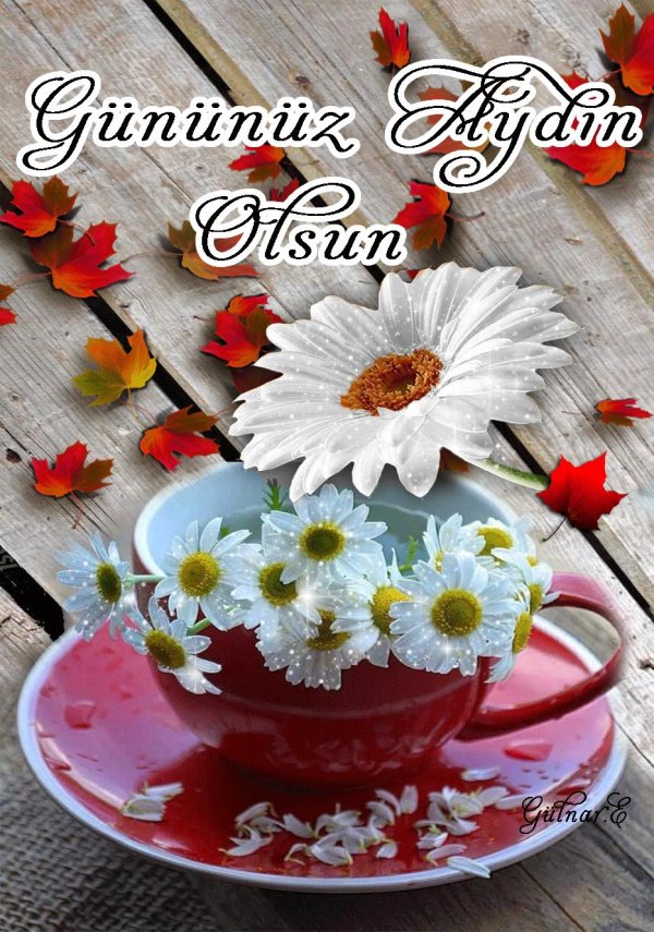 доброго утра с ромашками