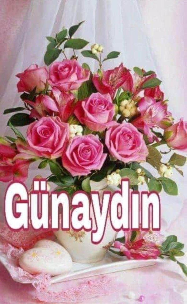 gül resimli günaydin mesajlari