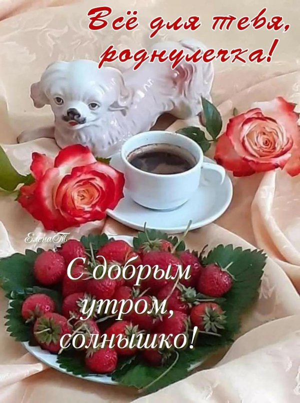 добрые пожелания