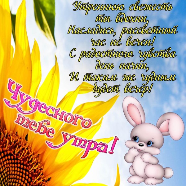 с пожеланием доброго утра