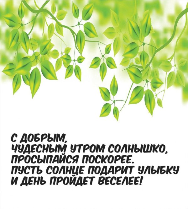 просыпайся солнышко