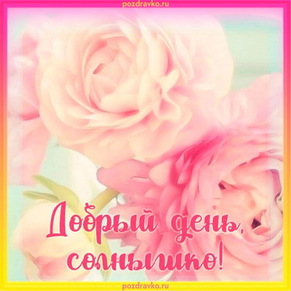 нежные пионы