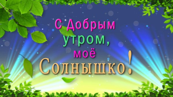 доброе утречко солнышко