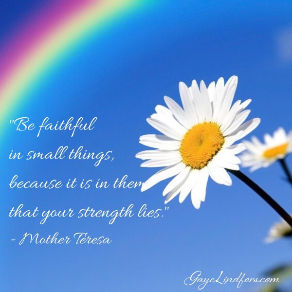 ромашки и небо