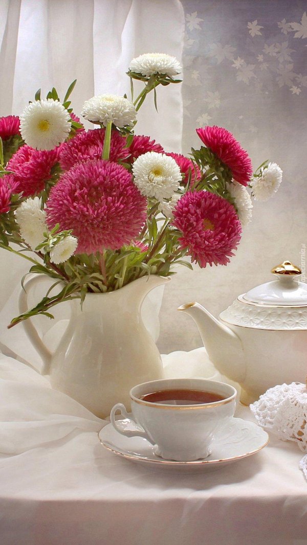 утренние цветы