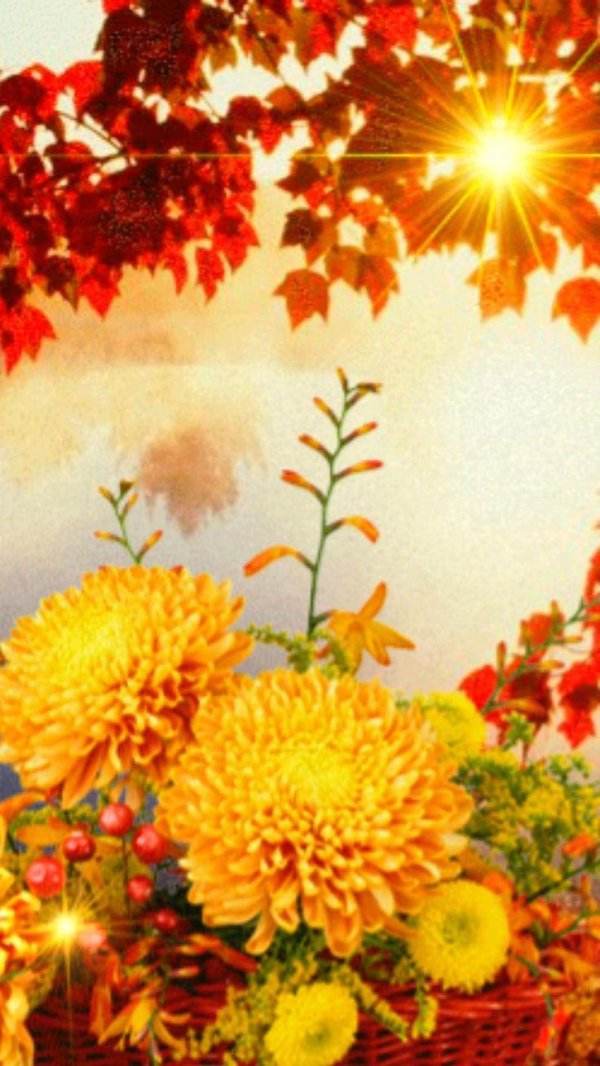 солнце осеннее