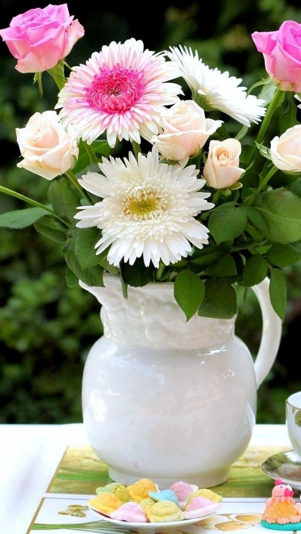 утренние цветы