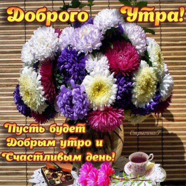астры с добрым утром