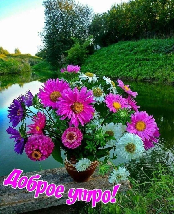 доброе утро летние цветы