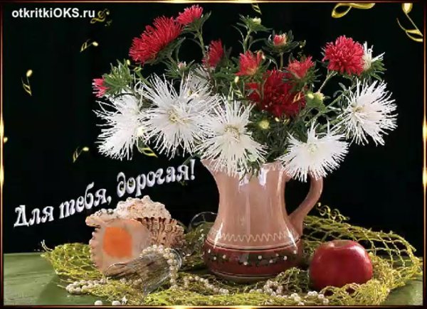 цветы добрый вечер