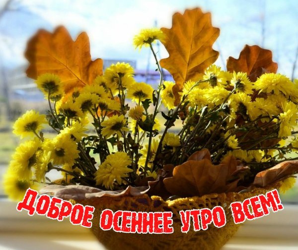 добрейшего осеннего утра