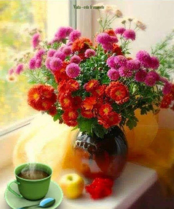 осенние цветы