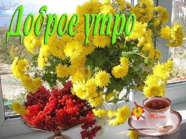 доброе утро осенний букет
