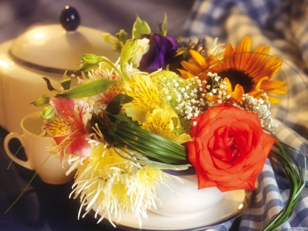 цветочная композиция в чашке