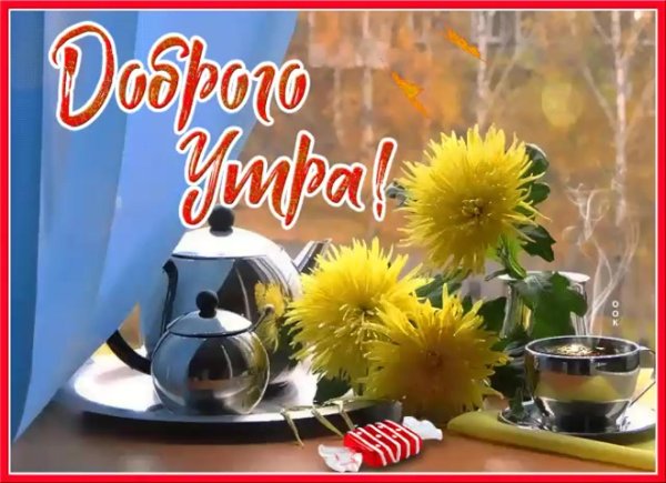 доброе утро осень цветы