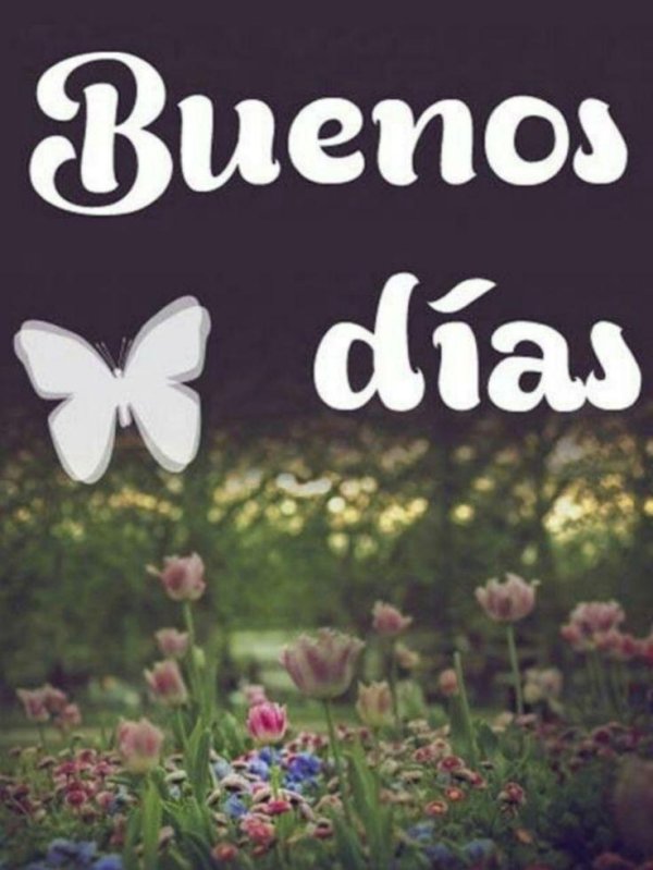 imágenes buenos días
