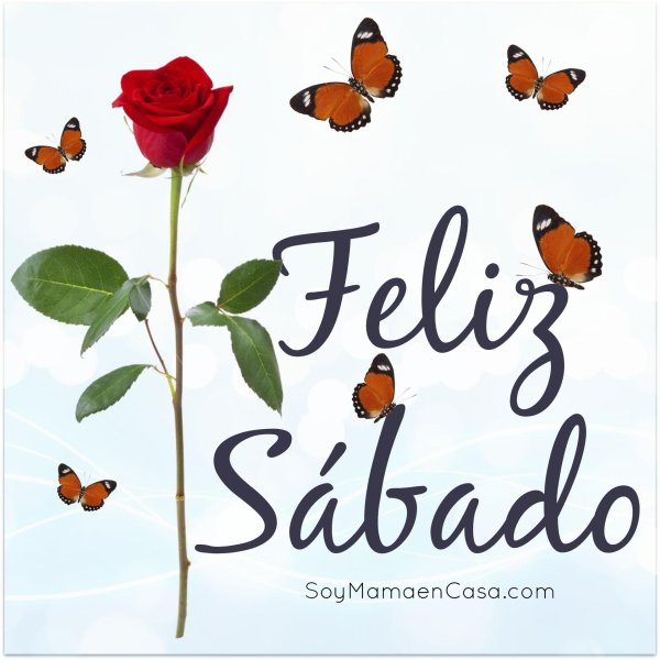 роза фридом