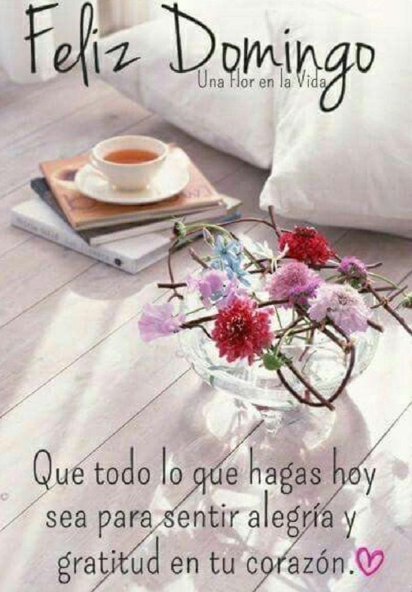 цветы композиции