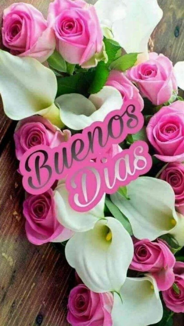 красивая букет