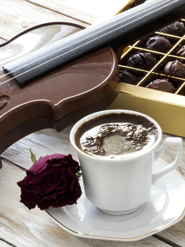 утро скрипка