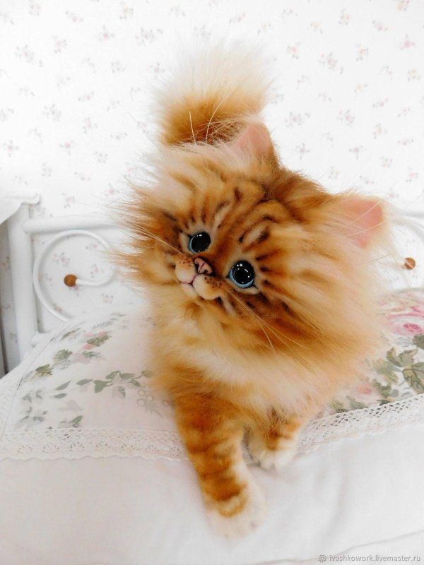 рыжий пушистик