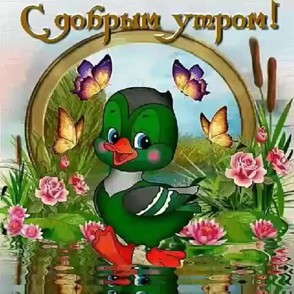 добрые открытки