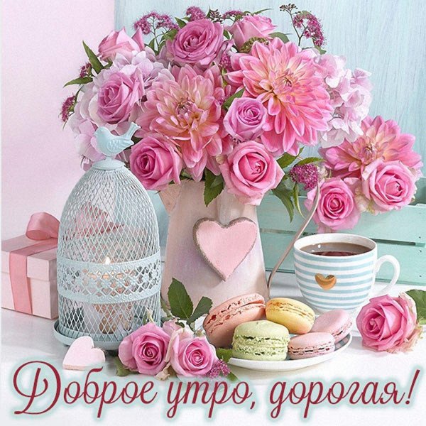 марианна локшина цветы