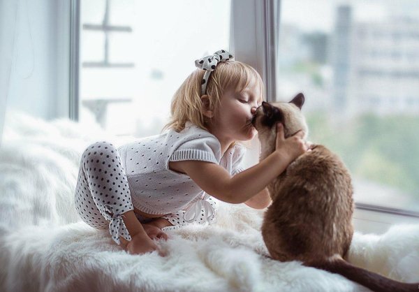 дети животные