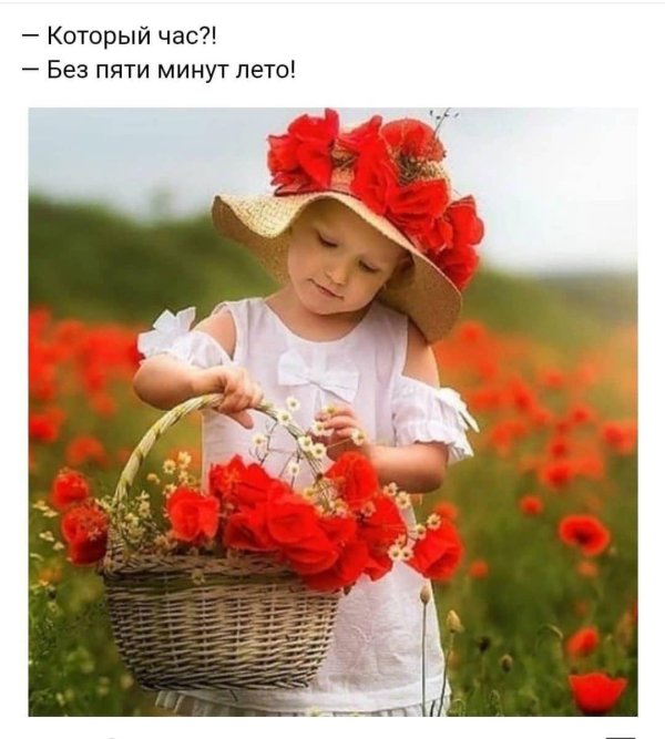 доброе утро лето дети