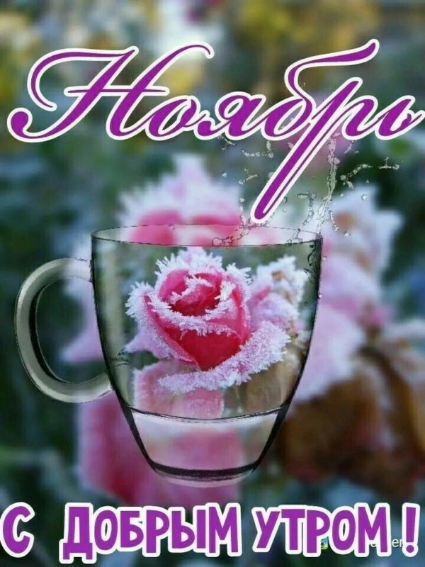 доброе утро настенька