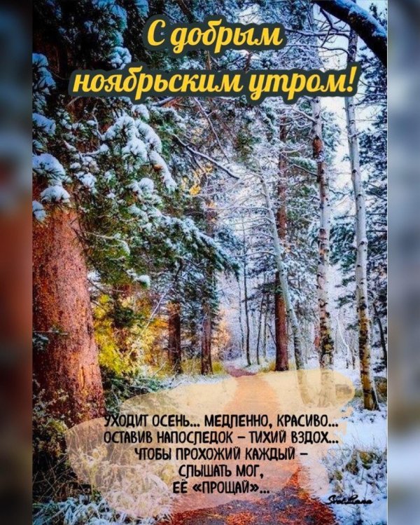 доброго ноябрьского утра