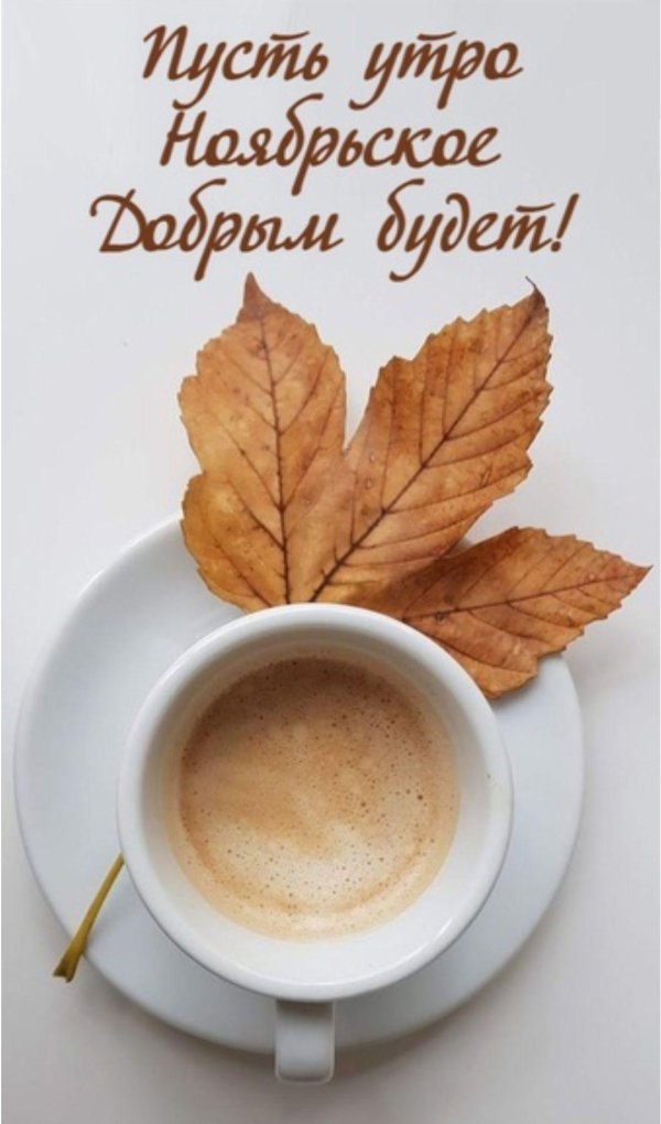 открытка доброе осеннее утречко