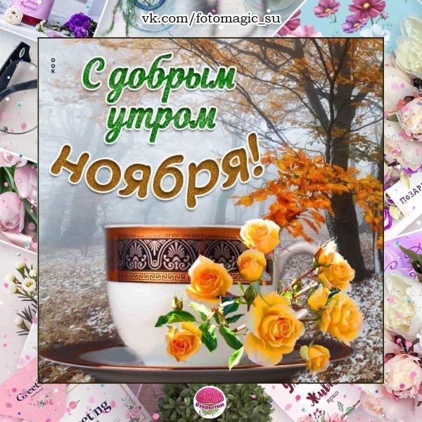 доброе утро с первым днем ноября