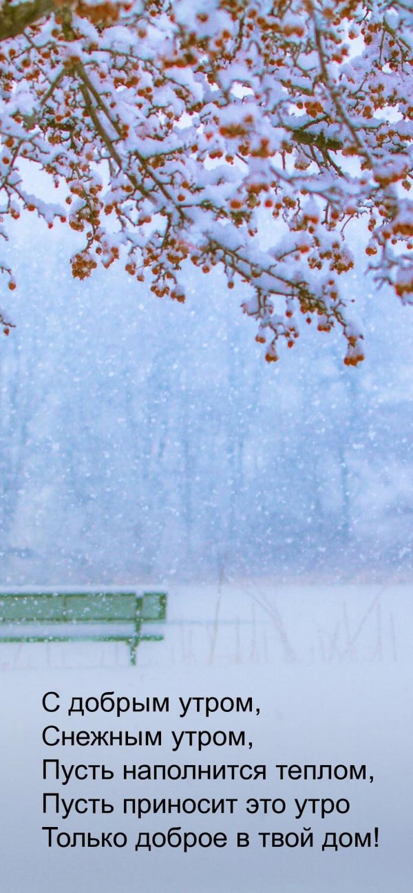 доброе утро ноября снежное
