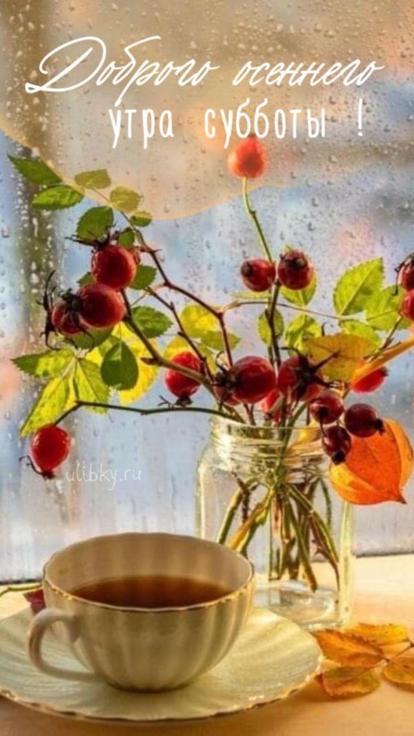 суббота осень