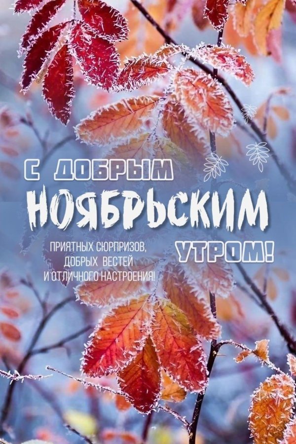 доброго ноябрьского утра