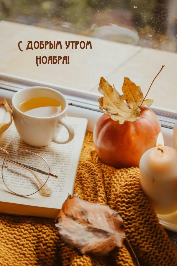 ноябрьское утро